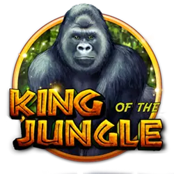 bet44 1x bet cassino Terminal móvel